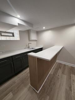 9755 South Maryland Avenue Chicago IL 60628