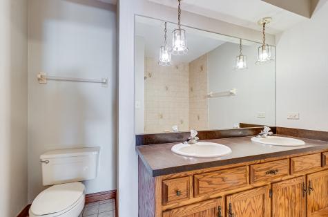 8732 West Surrey Park Palos Hills IL 60465