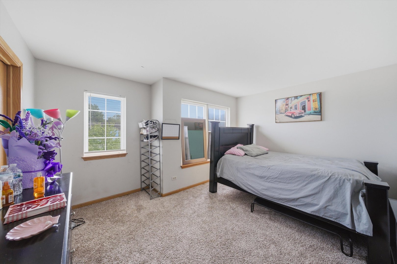 1620 Manor Oaks Drive Plainfield IL 60586