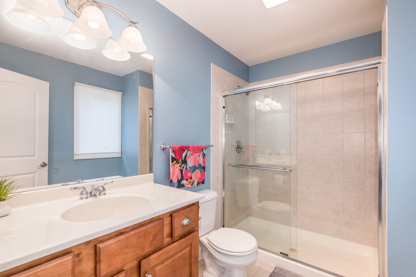 4736 Devon Avenue Lisle IL 60532