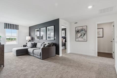 294 Snowdrop Lane Elgin IL 60124