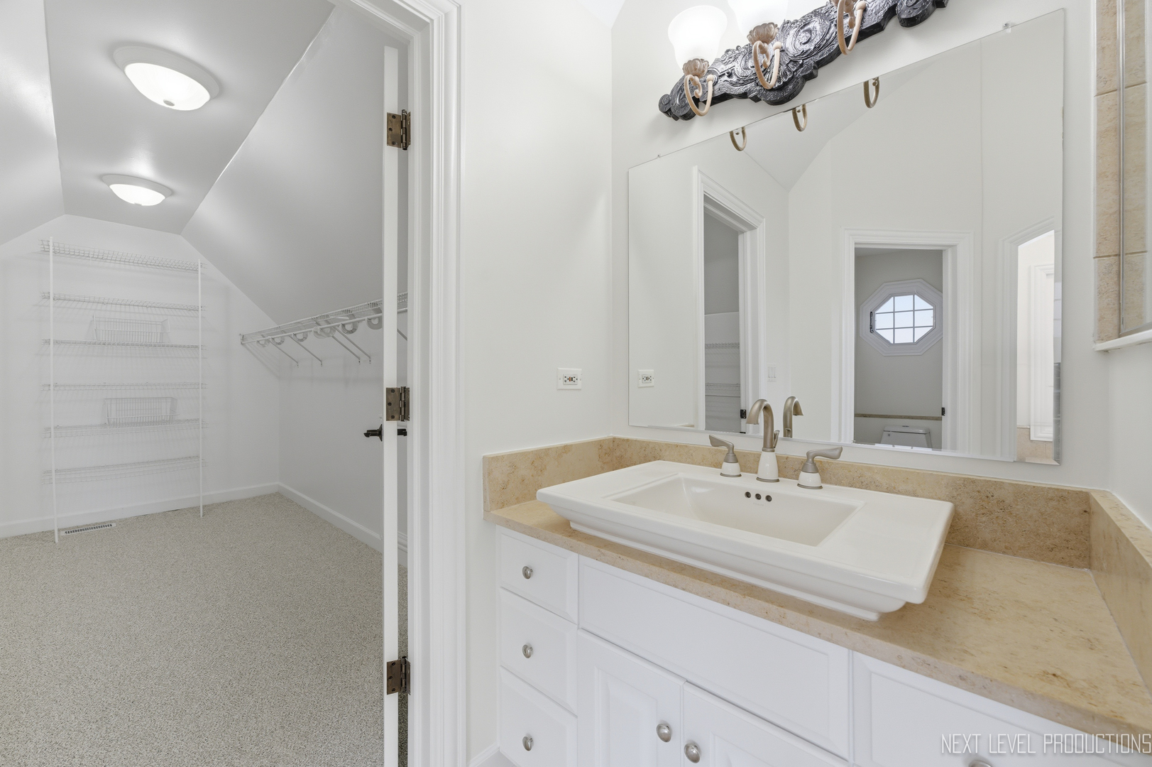 6027 Rosinweed Lane Naperville IL 60564