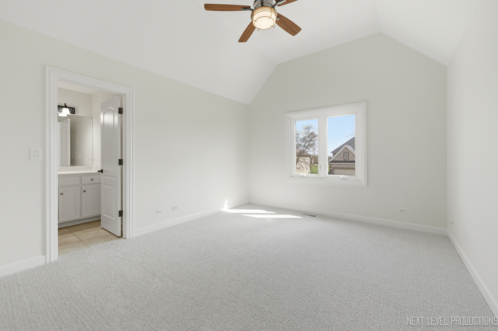 6027 Rosinweed Lane Naperville IL 60564