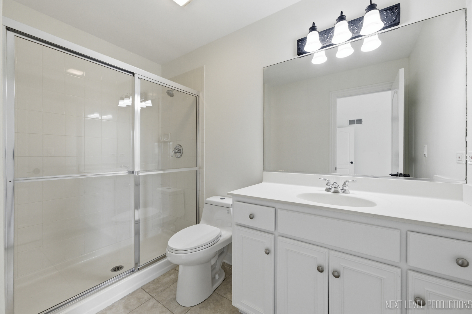 6027 Rosinweed Lane Naperville IL 60564