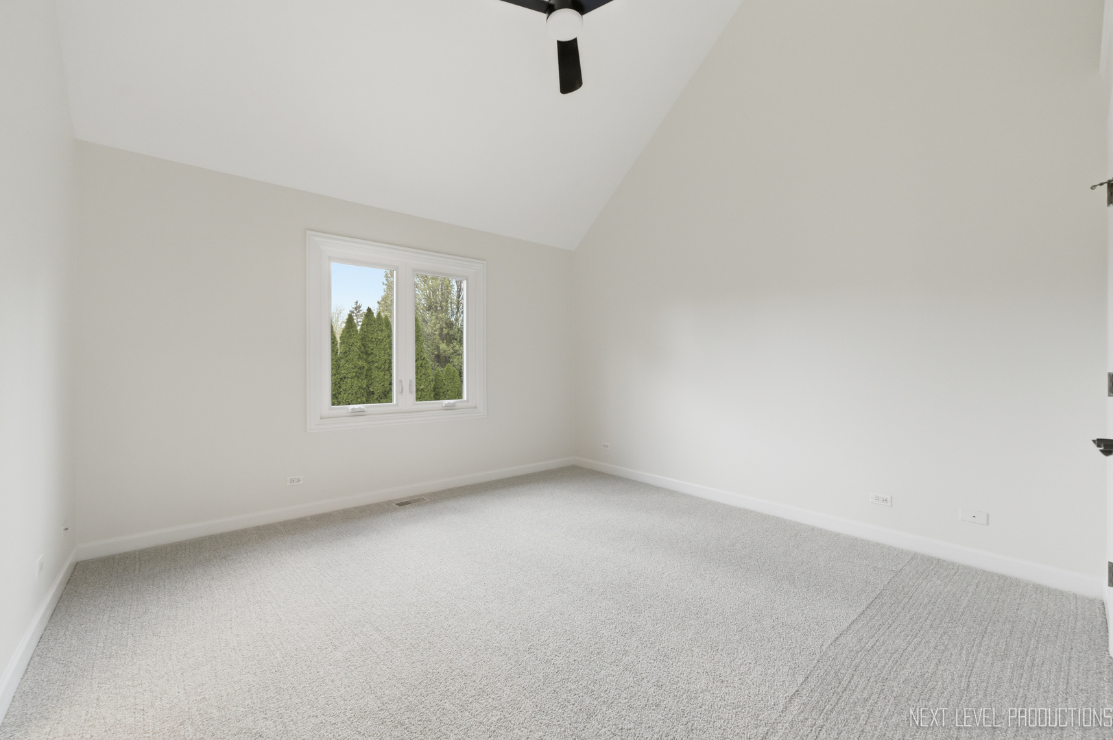 6027 Rosinweed Lane Naperville IL 60564