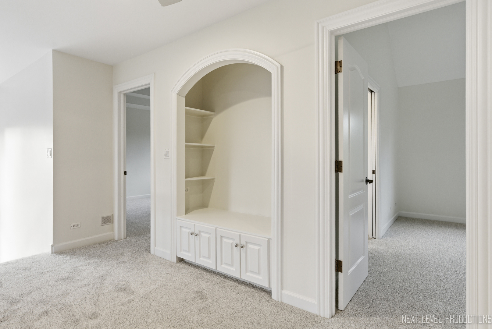 6027 Rosinweed Lane Naperville IL 60564