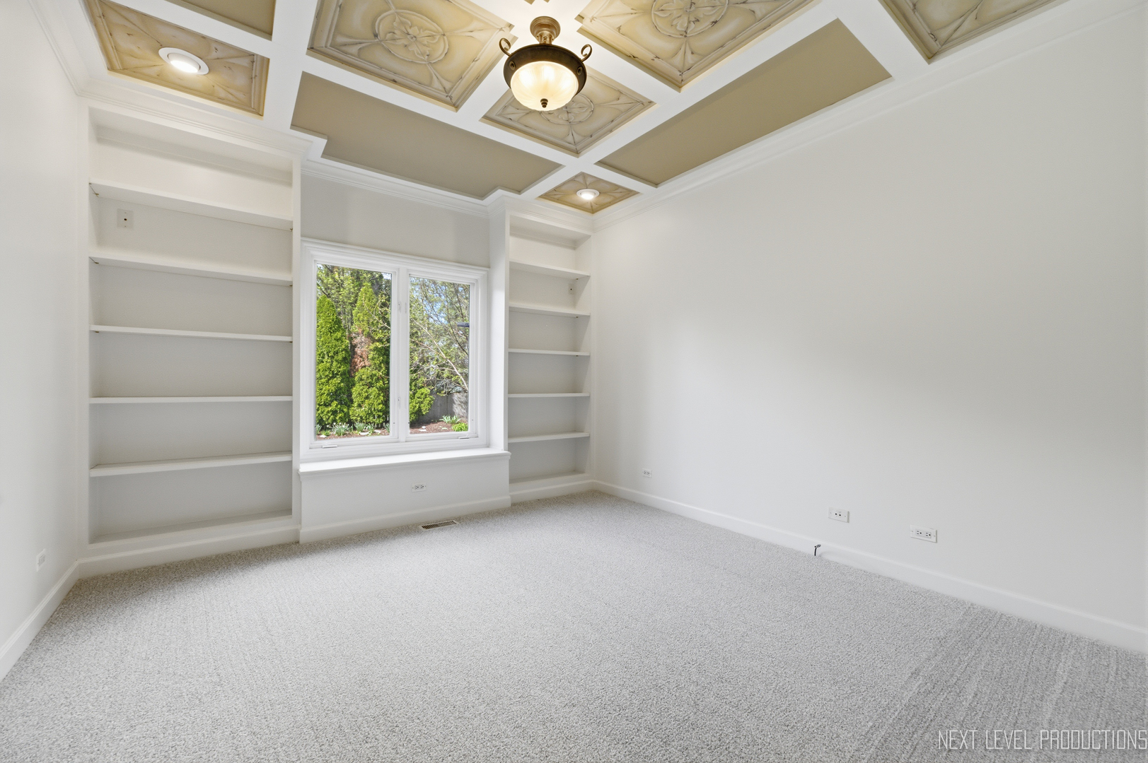 6027 Rosinweed Lane Naperville IL 60564