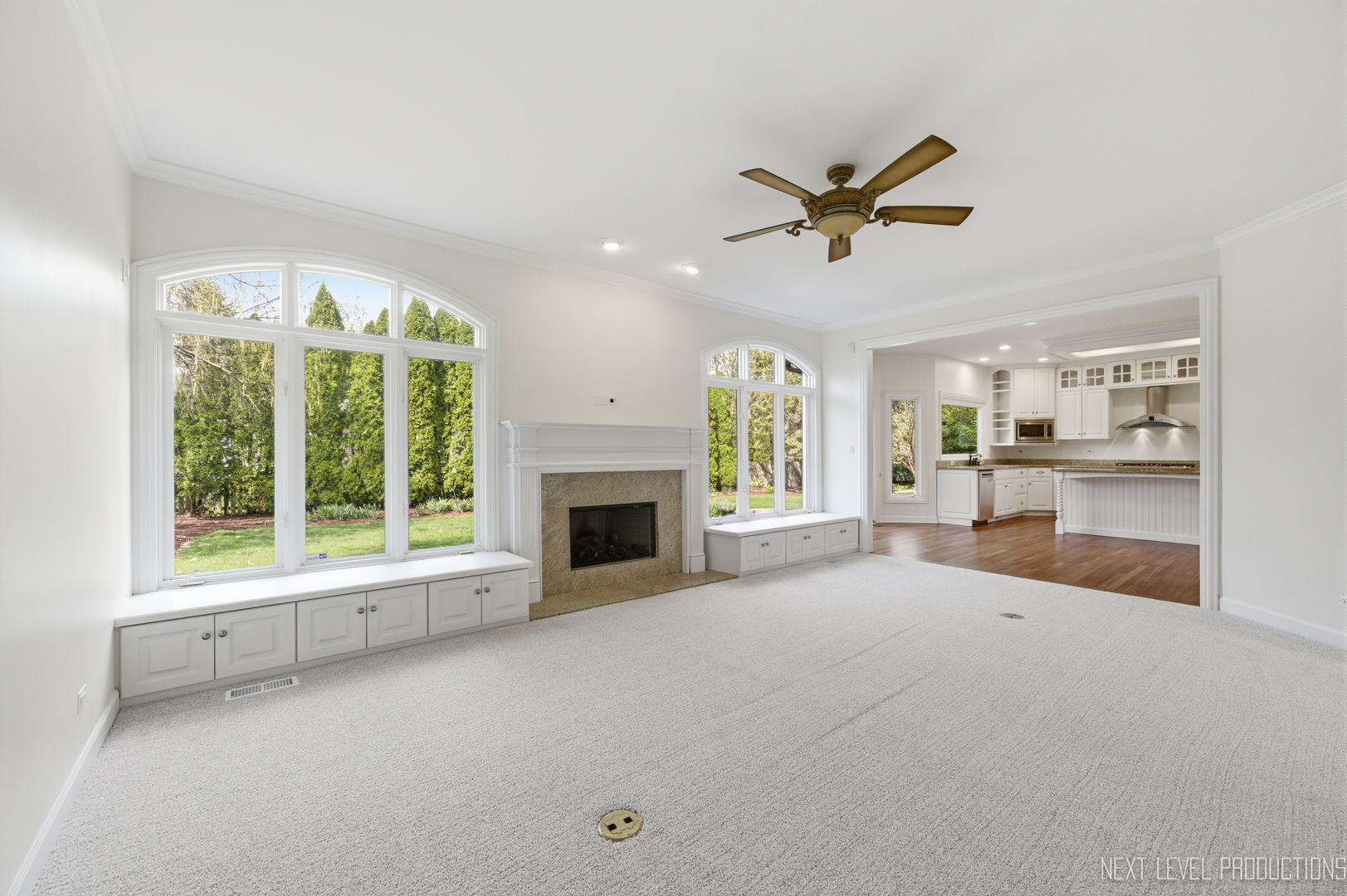 6027 Rosinweed Lane Naperville IL 60564