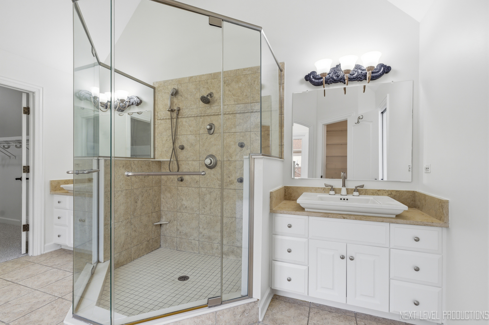 6027 Rosinweed Lane Naperville IL 60564