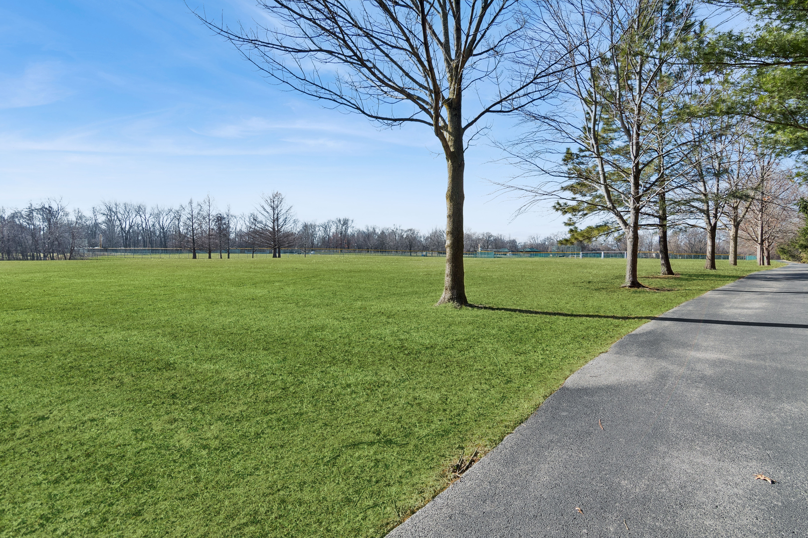 209 Herbert Street Downers Grove IL 60515