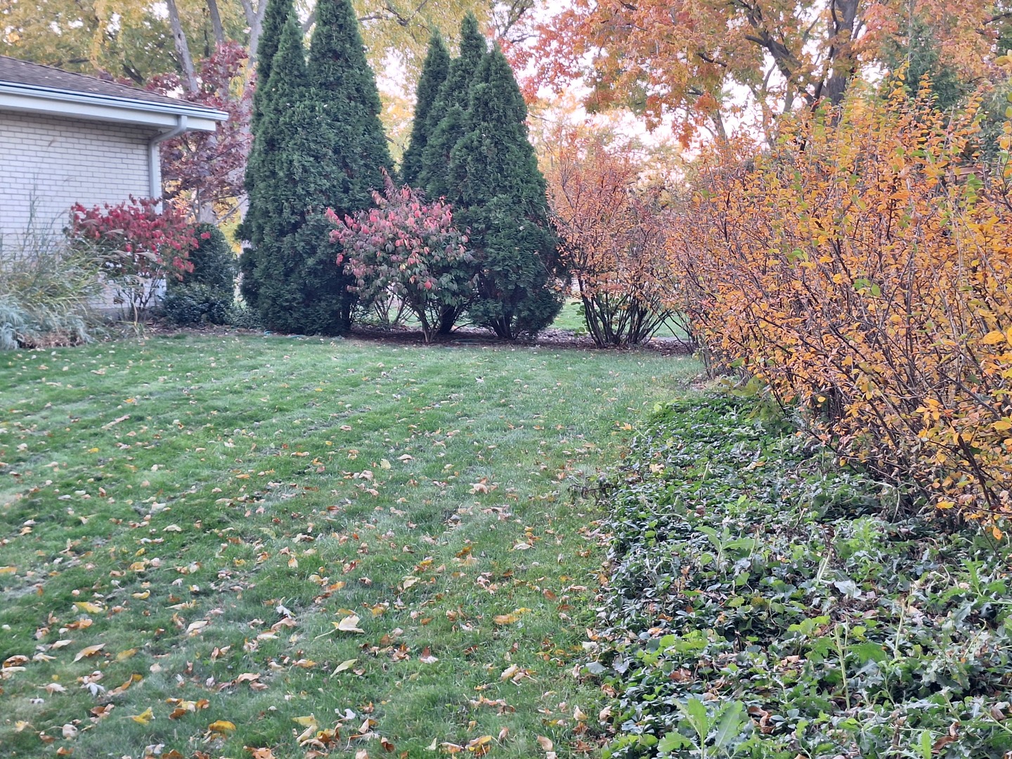 209 Herbert Street Downers Grove IL 60515