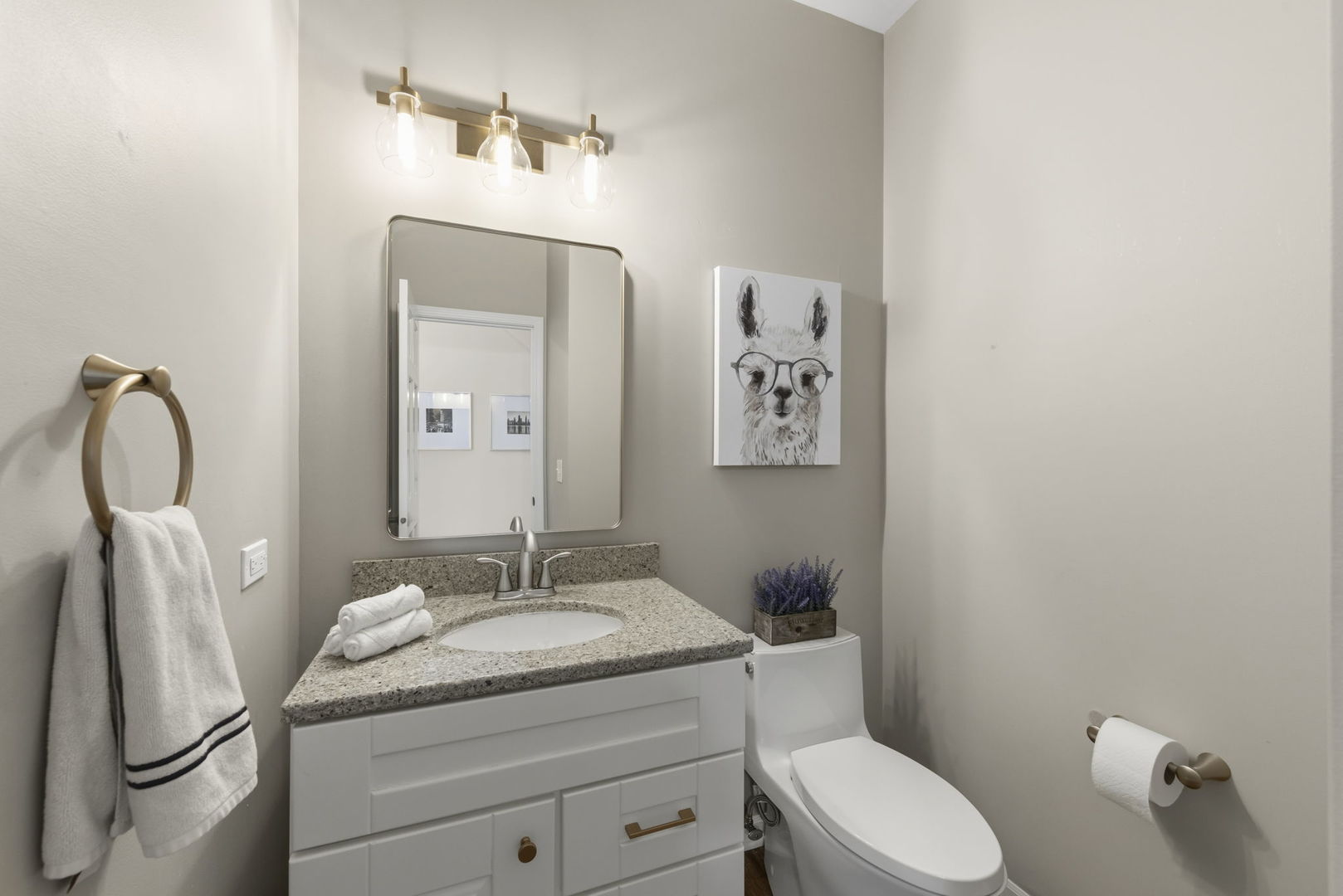 120 Rieser Circle Naperville IL 60565