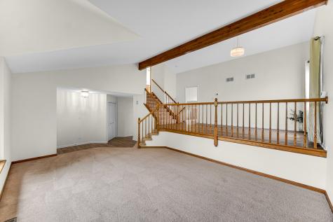 21147 Hunter Woods Drive Frankfort IL 60423