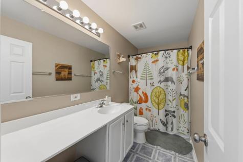 22660 Bass Lake Road Plainfield IL 60544