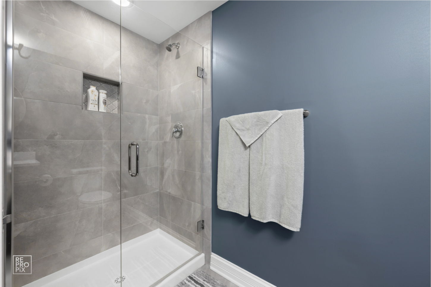 219 North Clinton Avenue Elmhurst IL 60126