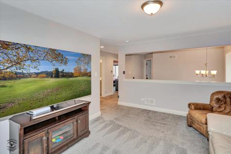 1973 Edgeview Drive New Lenox IL 60451