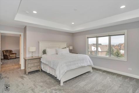 1973 Edgeview Drive New Lenox IL 60451