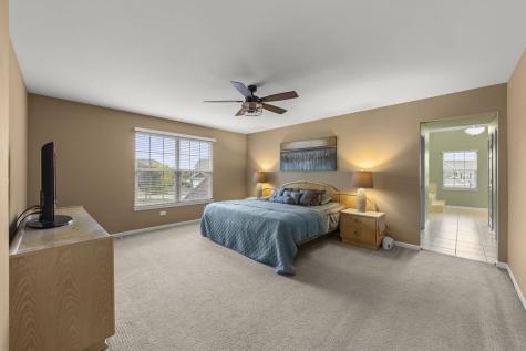 13521 Arborview Circle Plainfield IL 60585