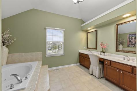 13521 Arborview Circle Plainfield IL 60585