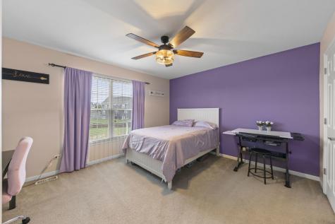 13521 Arborview Circle Plainfield IL 60585