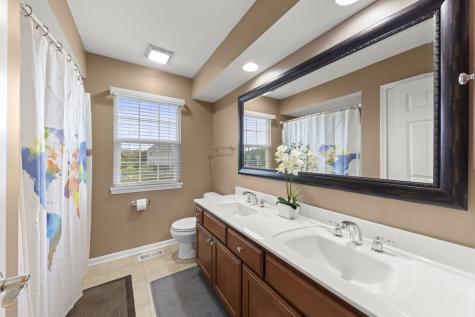 13521 Arborview Circle Plainfield IL 60585