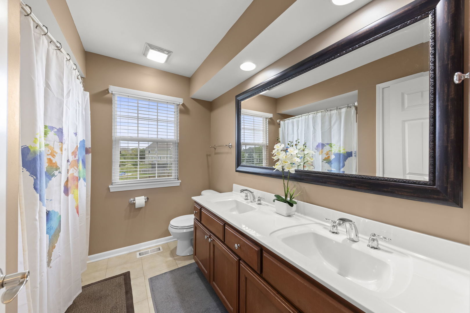 13521 Arborview Circle Plainfield IL 60585
