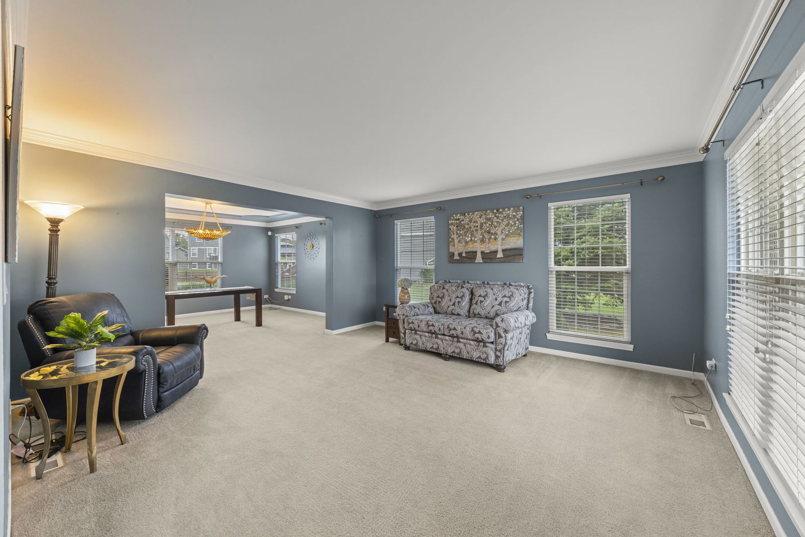 13521 Arborview Circle Plainfield IL 60585