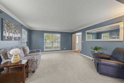 13521 Arborview Circle Plainfield IL 60585