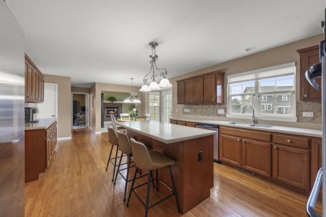 13521 Arborview Circle Plainfield IL 60585