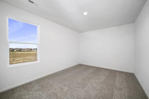 1219 Tiger Lily Drive Bartlett IL 60103