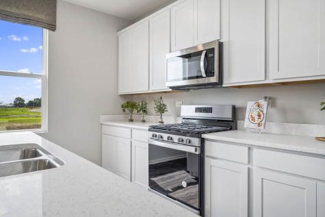 1219 Tiger Lily Drive Bartlett IL 60103