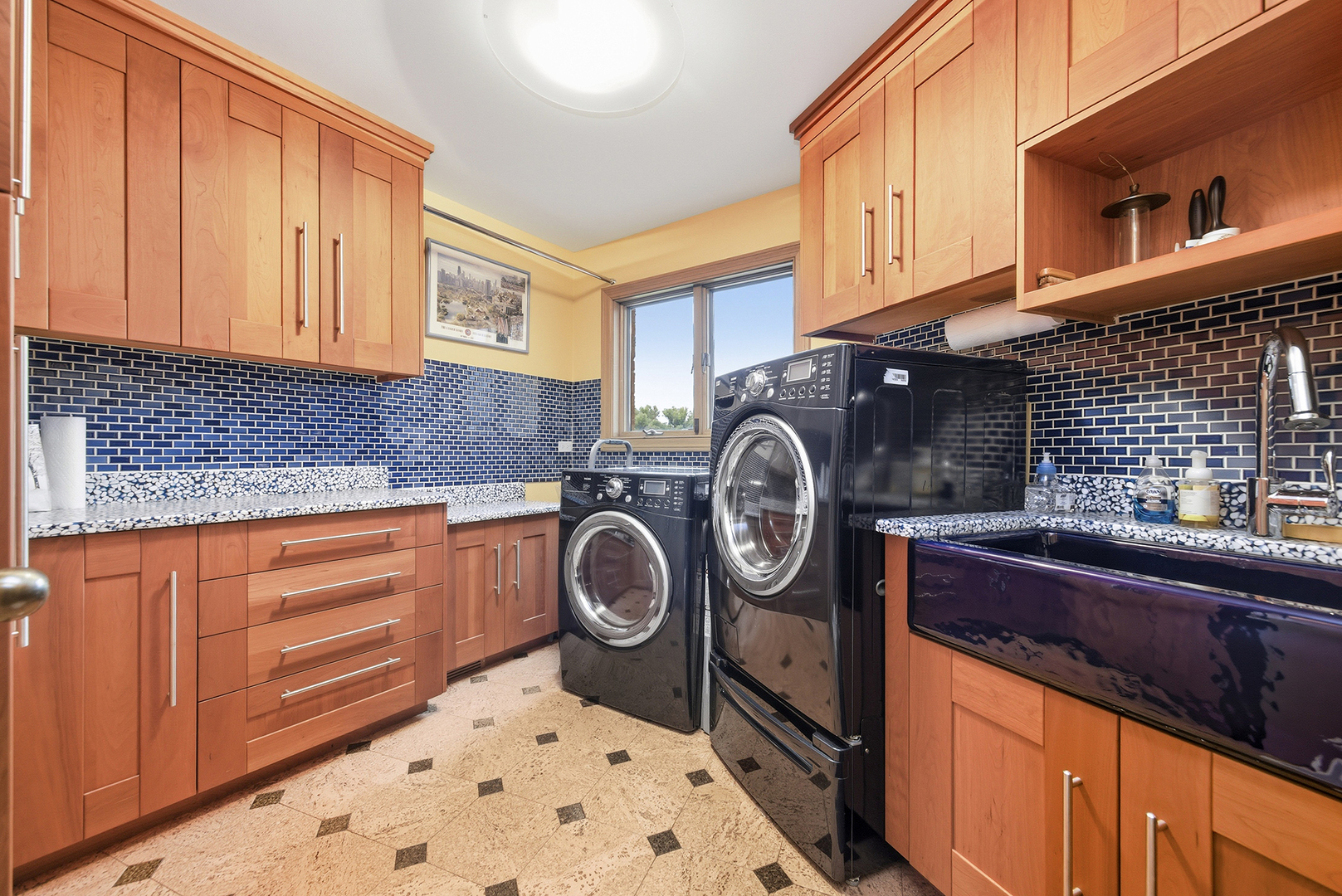 607 Berkshire Court Downers Grove IL 60516