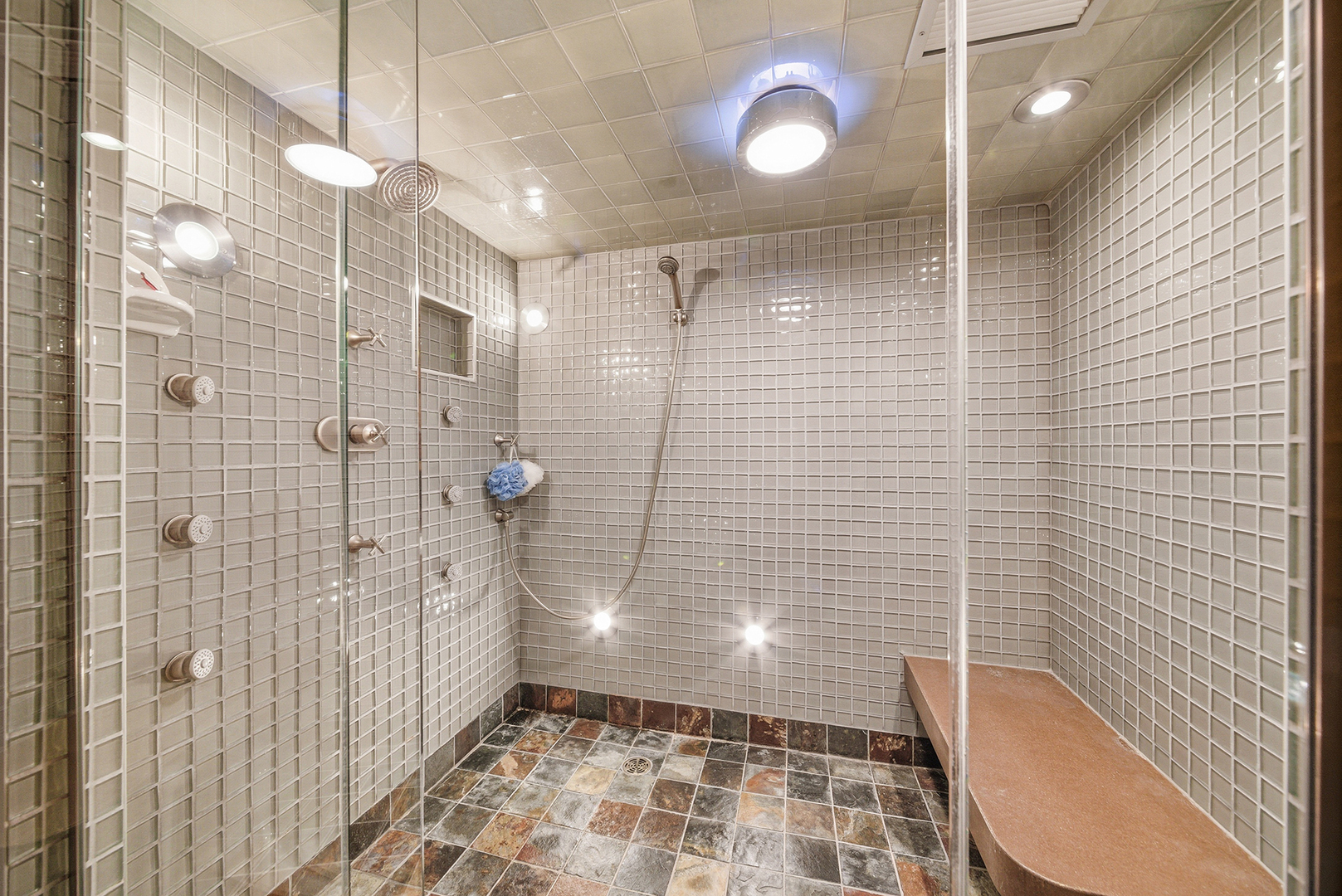 607 Berkshire Court Downers Grove IL 60516