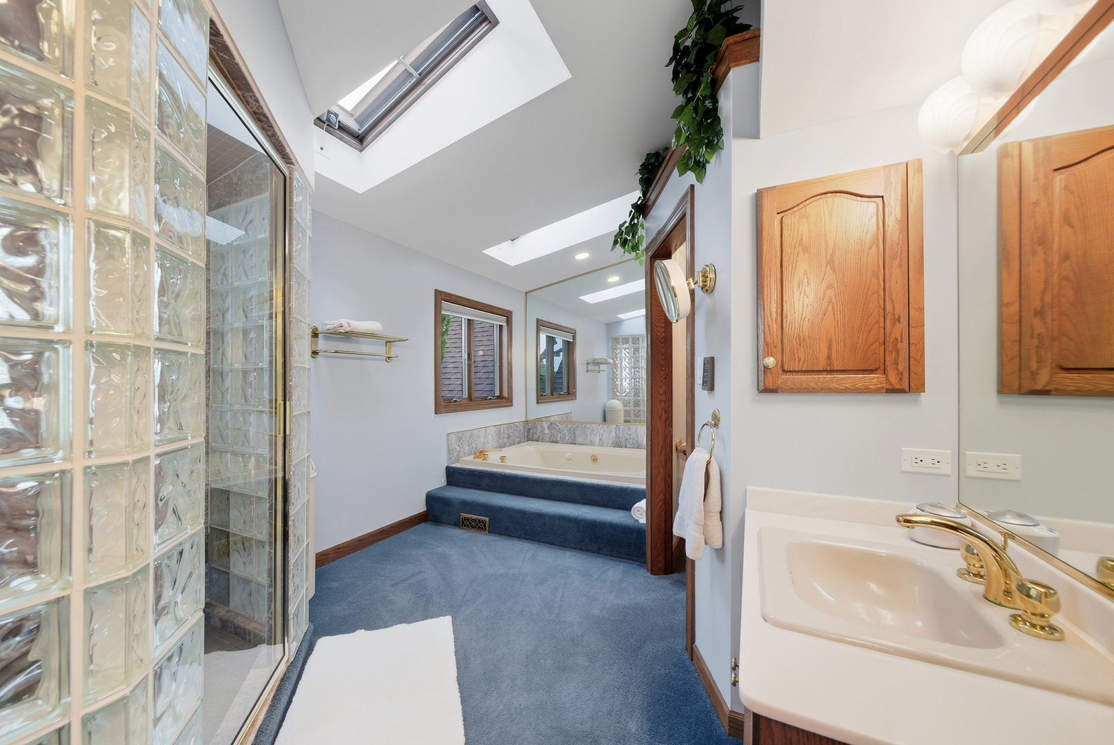 607 Berkshire Court Downers Grove IL 60516