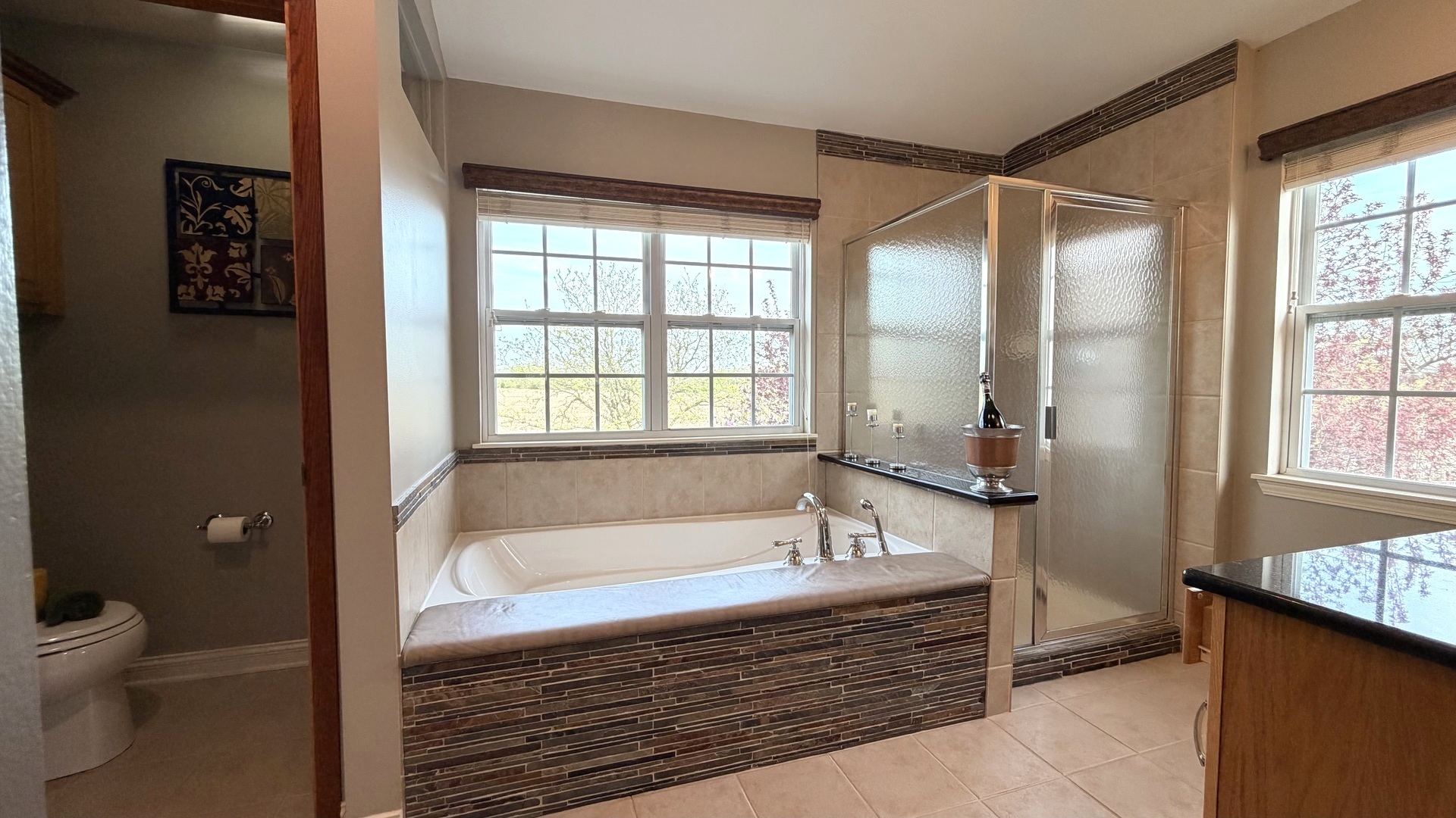 6 Glenview Court Bolingbrook IL 60490
