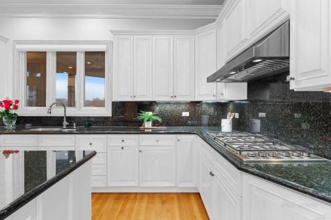 1611 Burr Oak Drive Libertyville IL 60048