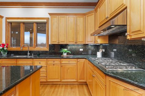 1611 Burr Oak Drive Libertyville IL 60048