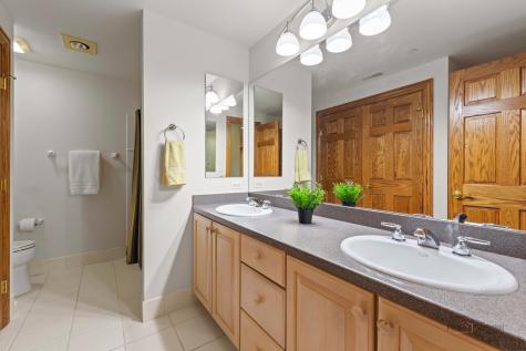 1611 Burr Oak Drive Libertyville IL 60048