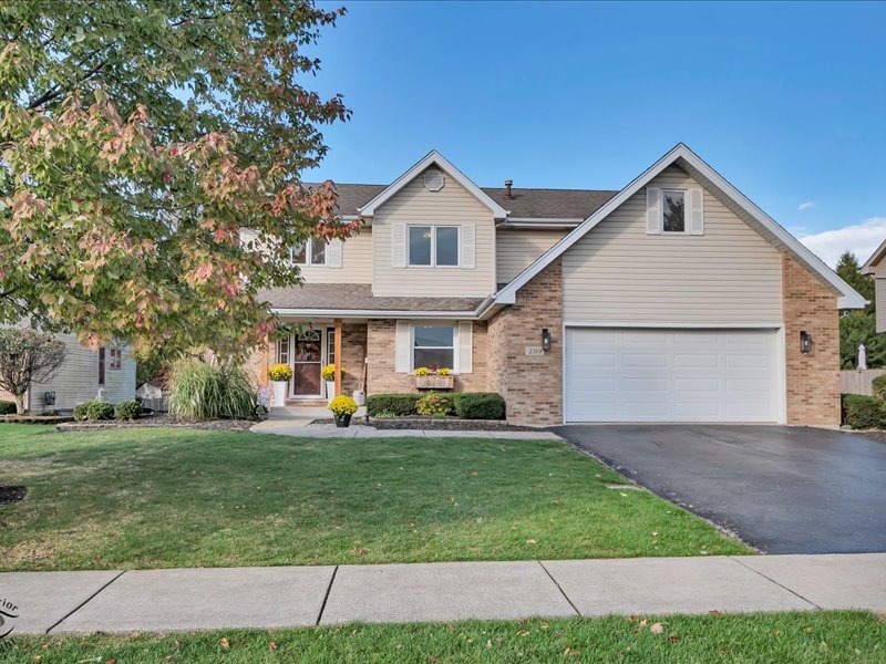 2319 Jackson Branch Drive New Lenox IL 60451