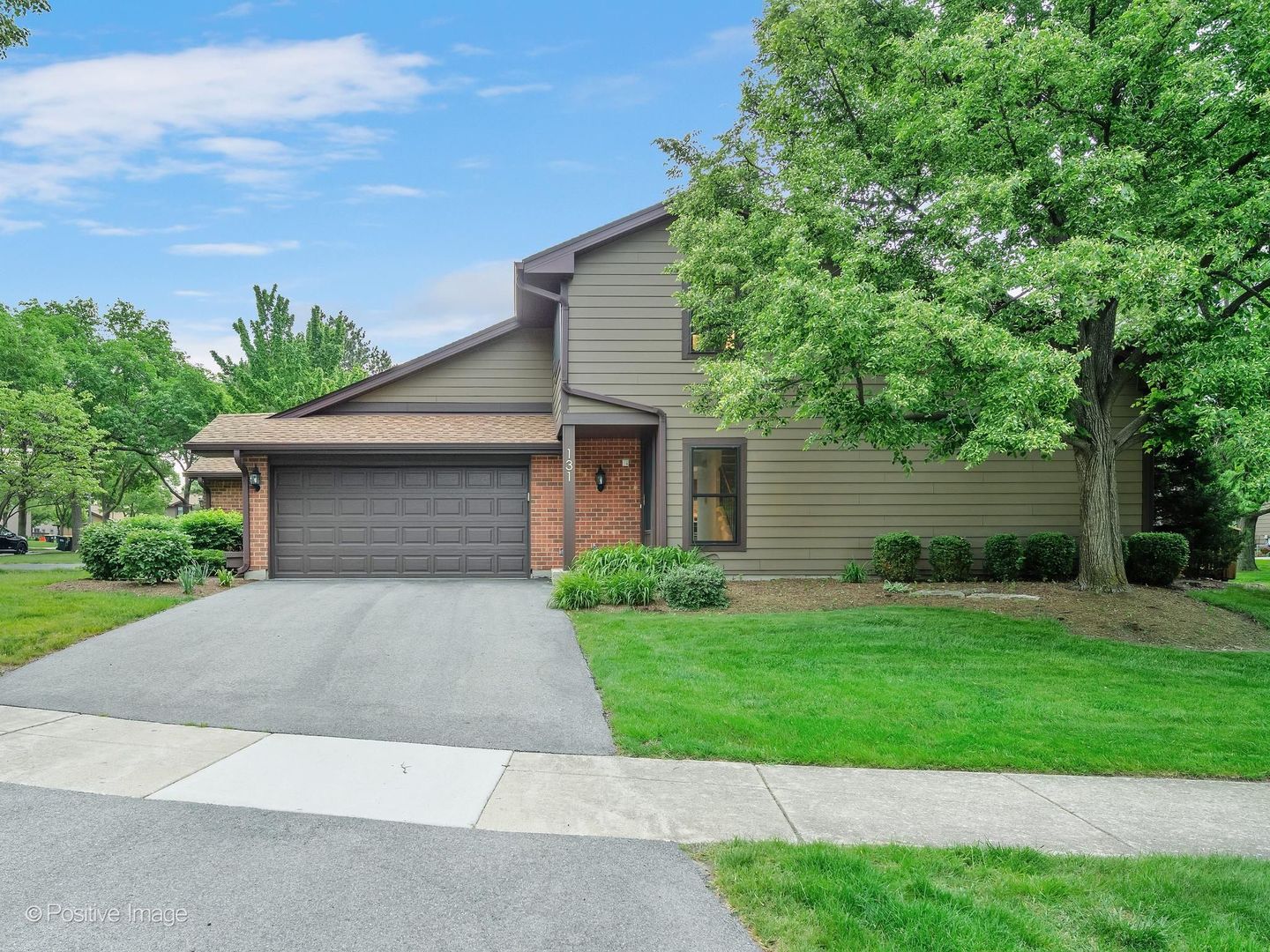131 White Birch Lane Westmont IL 60559