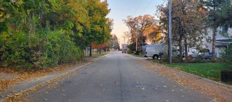 91 Lippincott Road Fox Lake IL 60020