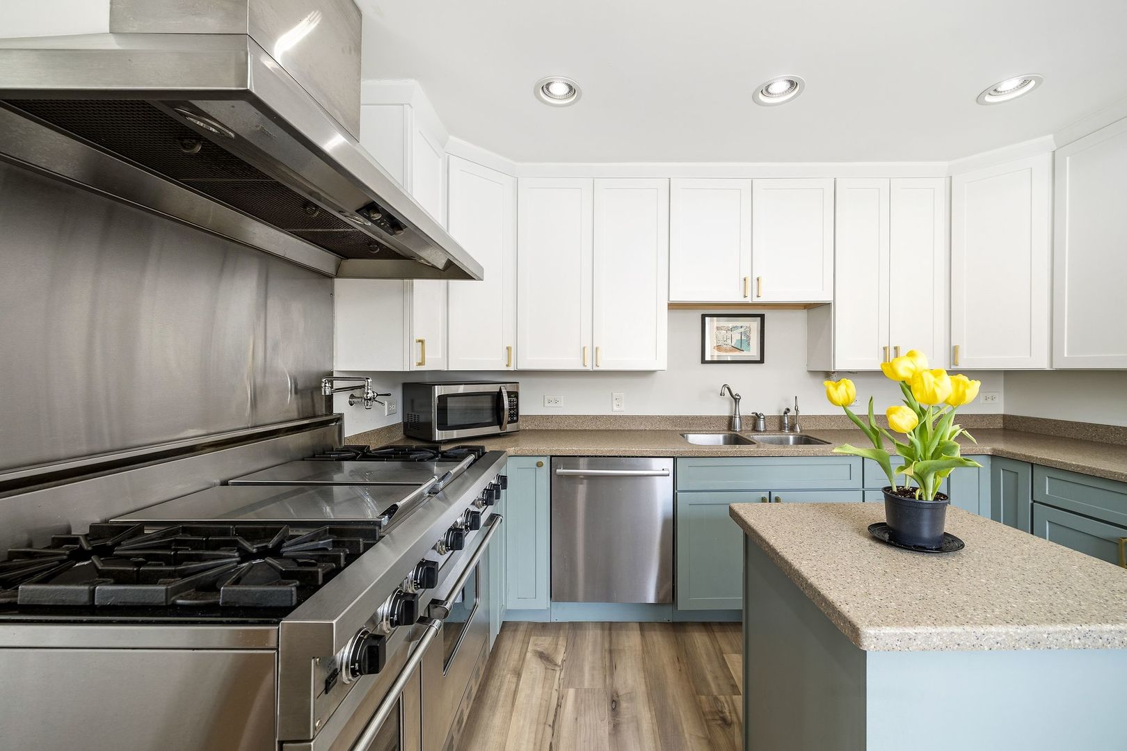 2203 Eastman Street Rolling Meadows IL 60008