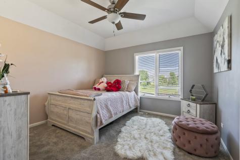 3823 Ballantrae Way Flossmoor IL 60422