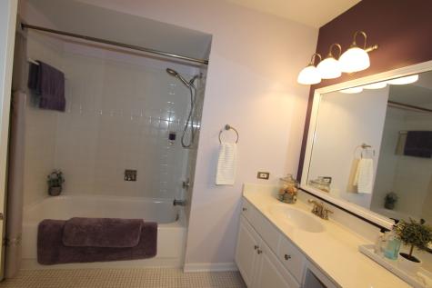 206 East Cunningham Drive Palatine IL 60067
