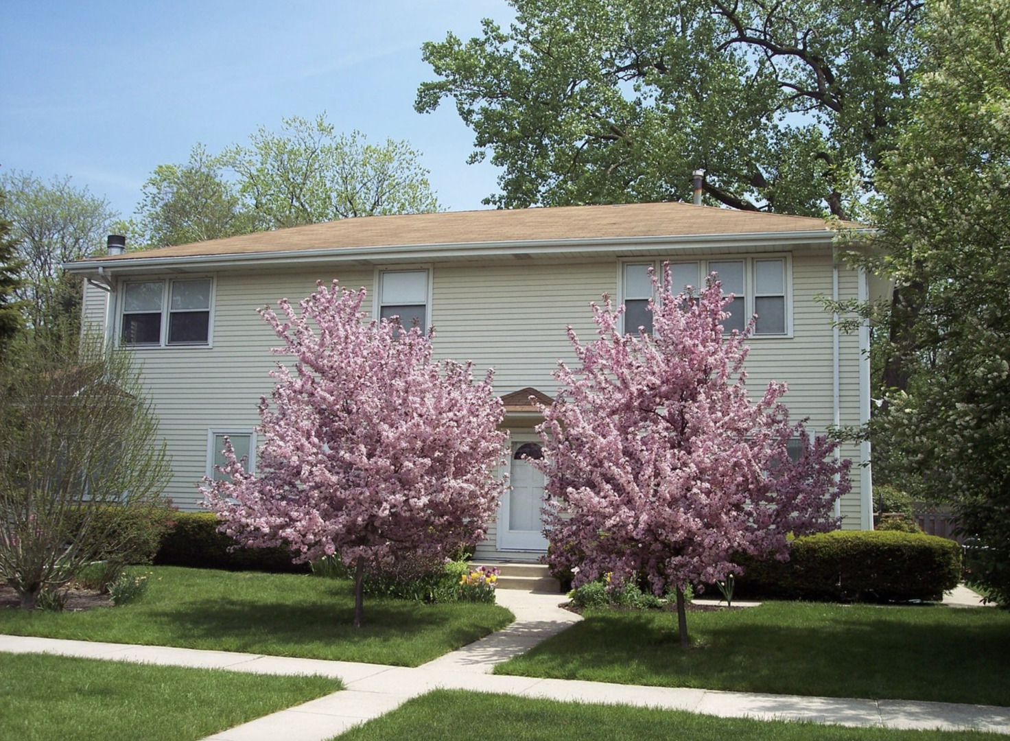 320 Central Park Avenue Wilmette IL 60091
