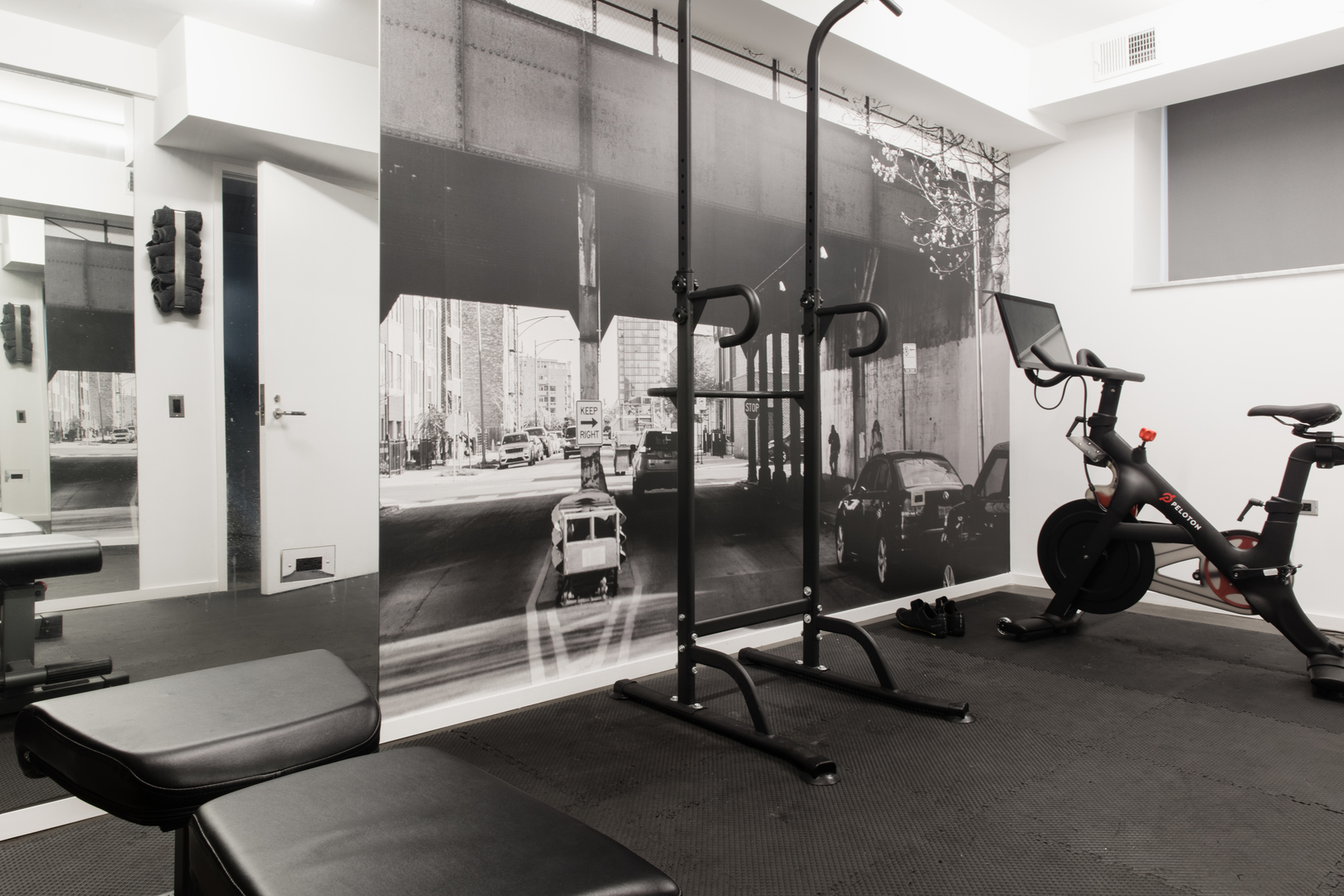 1019 North Wolcott Avenue Chicago IL 60622