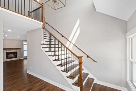 777 Dartmouth Lane Oswego IL 60543