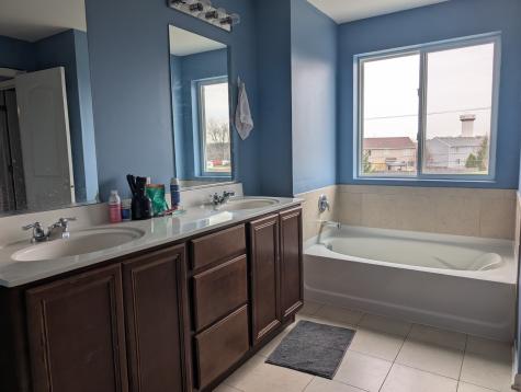 1085 Adagio Drive Volo IL 60073