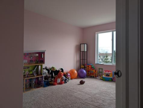 1085 Adagio Drive Volo IL 60073
