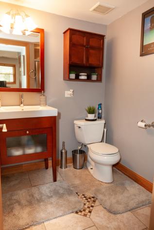 12320 Tim Tam Court Orland Park IL 60467